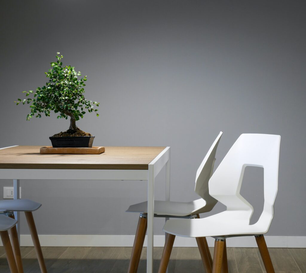 a white and brown table with a bonsai tree as a centrepiece