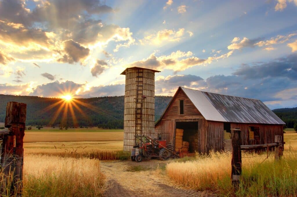 the sun takes a peek at a farm house surrounded by wheat