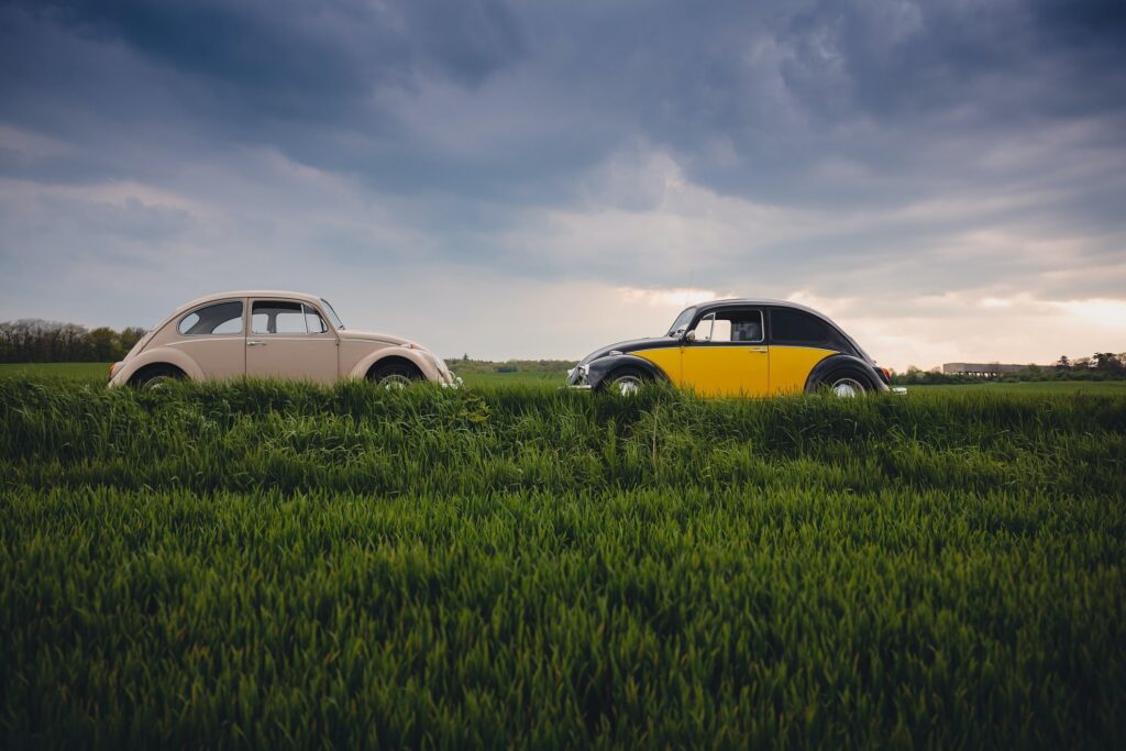 two vintage Volkswagen beetles in the grass field