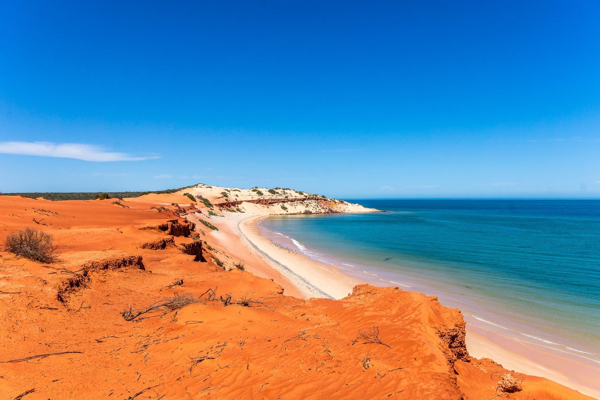 the red cliffs and white shores at the francois peron national park in geraldton, western australia