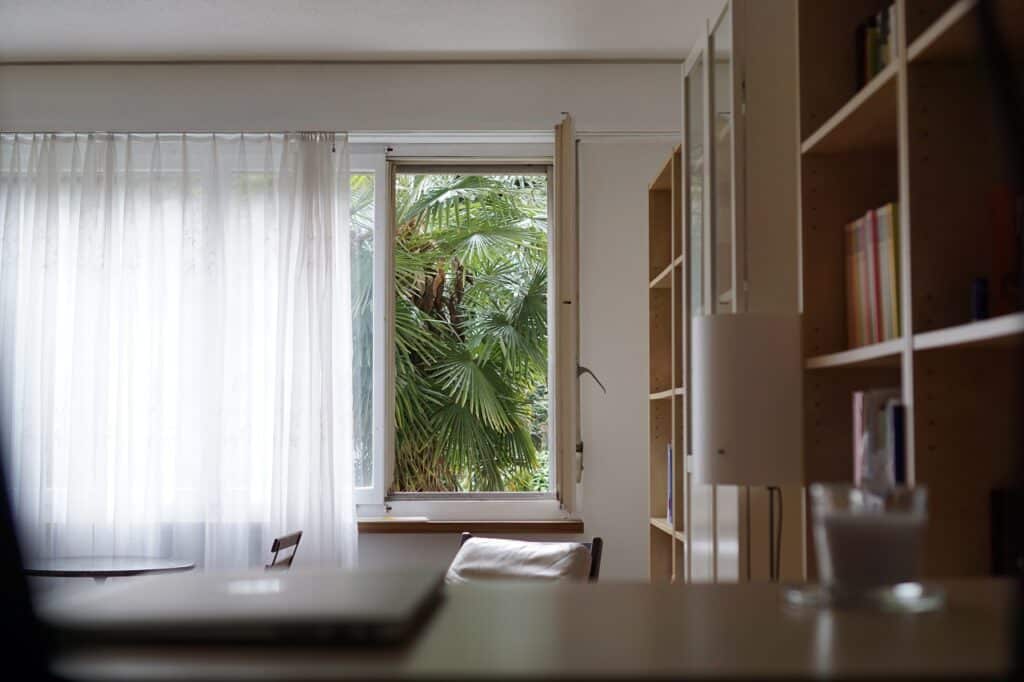 an open window revealing palm leaves outside