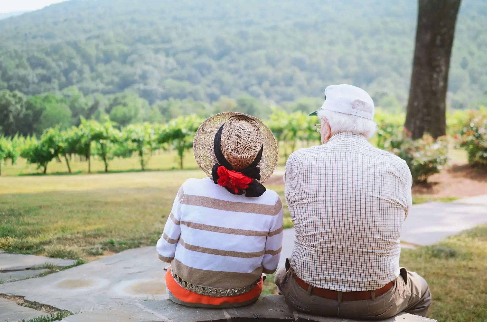 A retired couple sitting on a pavement at watching a vineyard, representing the concept of super conditions of release.