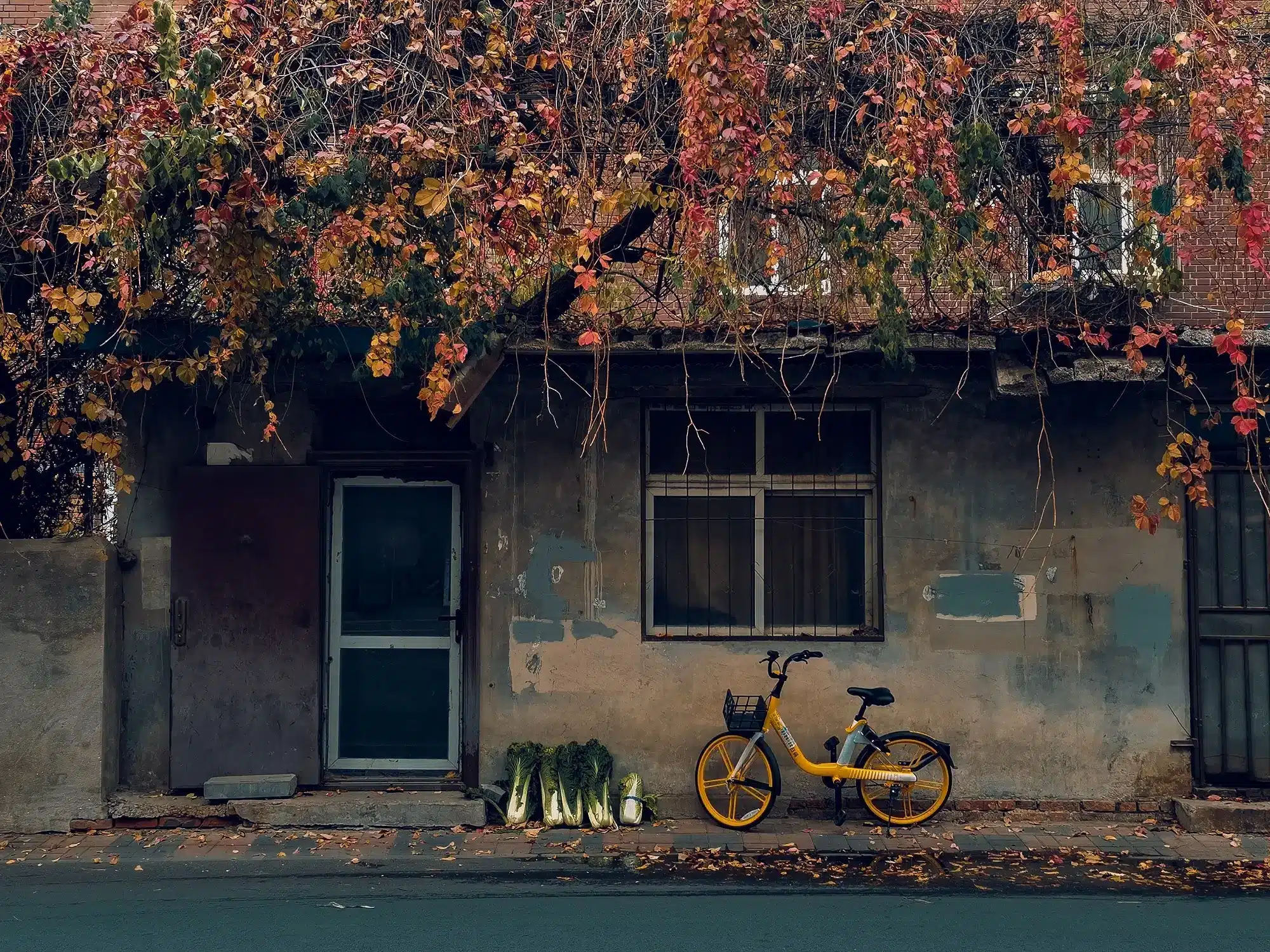An old house with a bicycle in front, representing the concept of tax depreciation.
