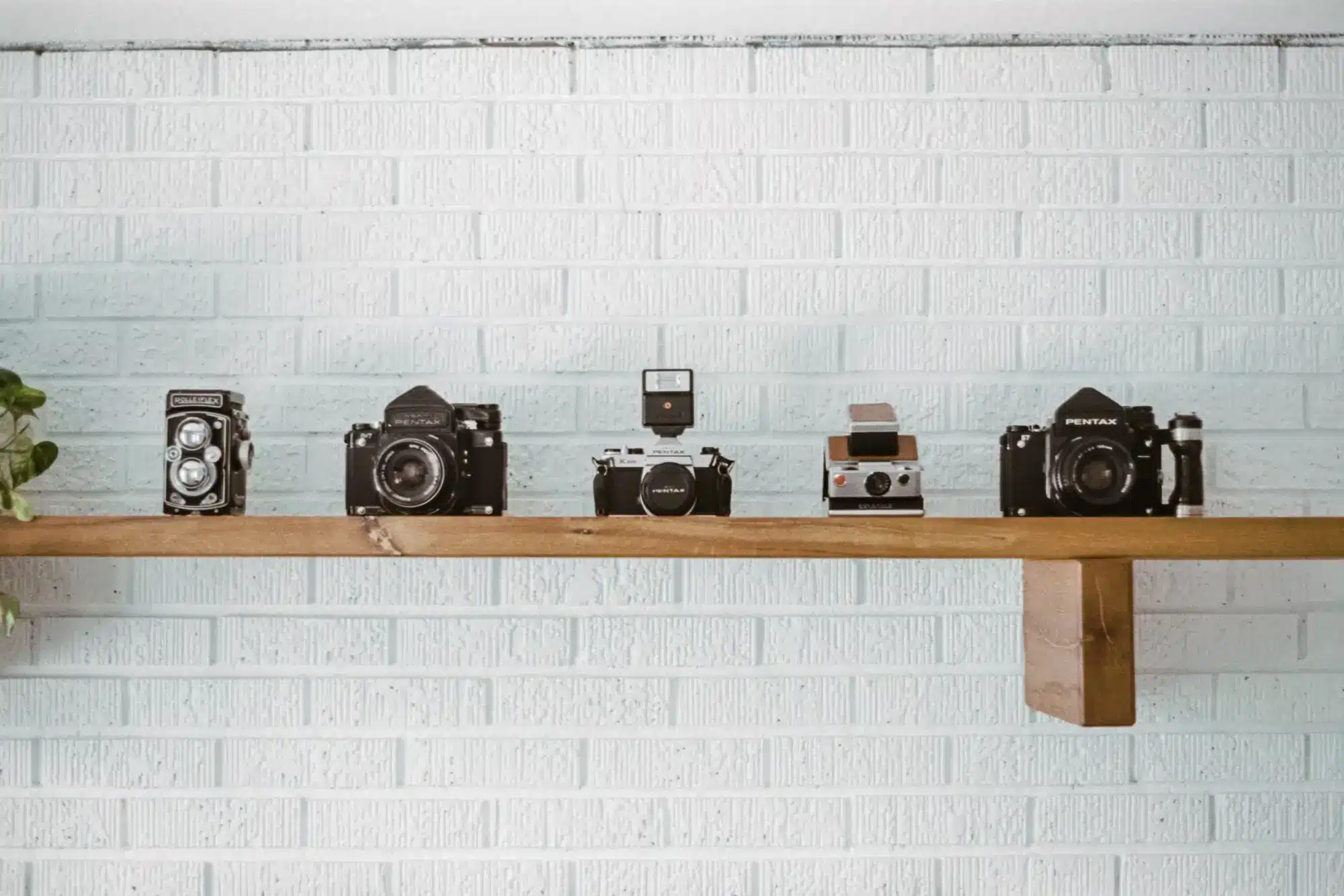 A display of vintage cameras.