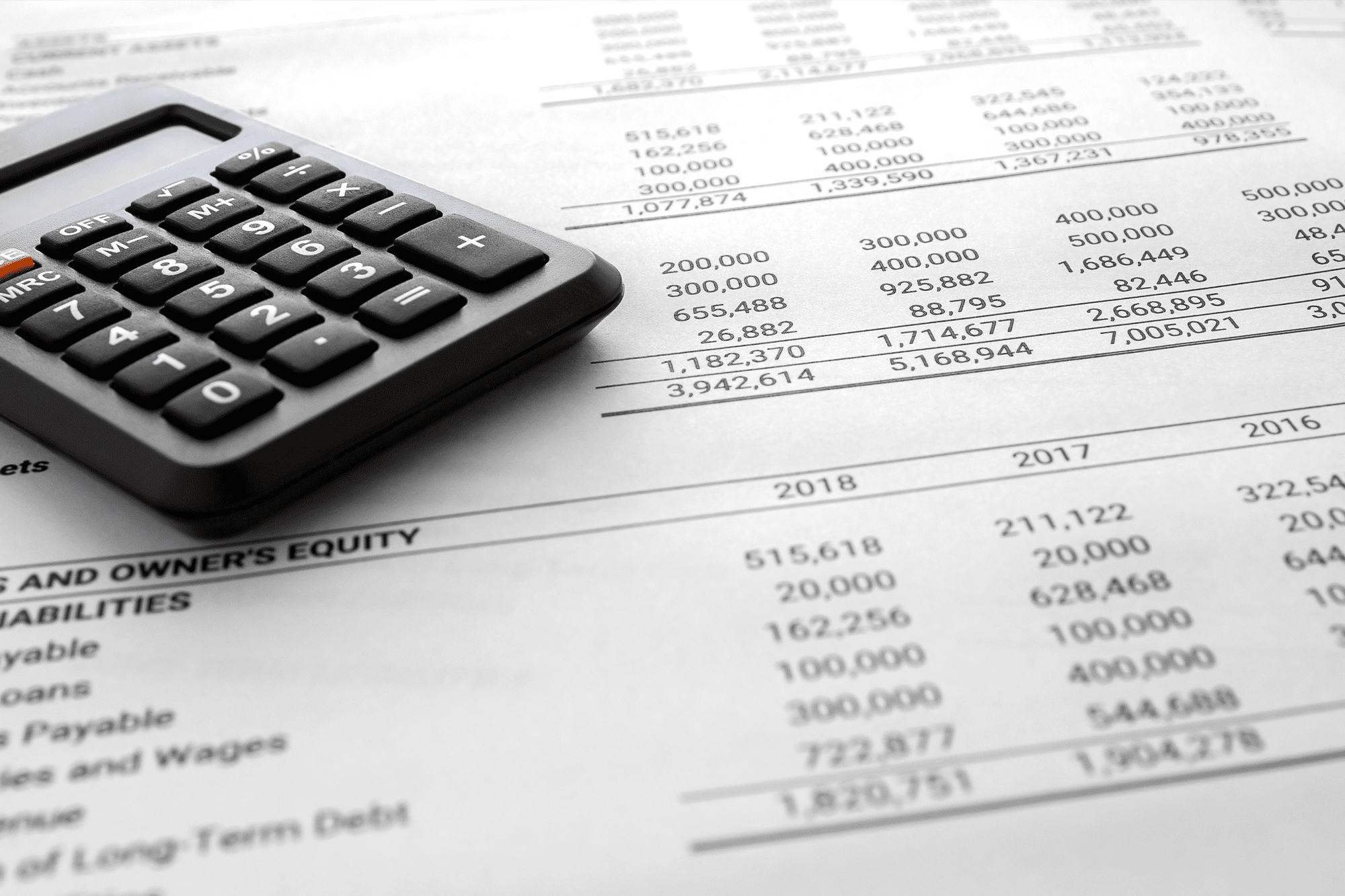 Financial statement / Balance sheet summary report and calculator.